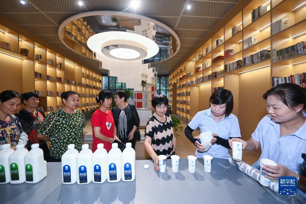 原版澳门足球即时赔率